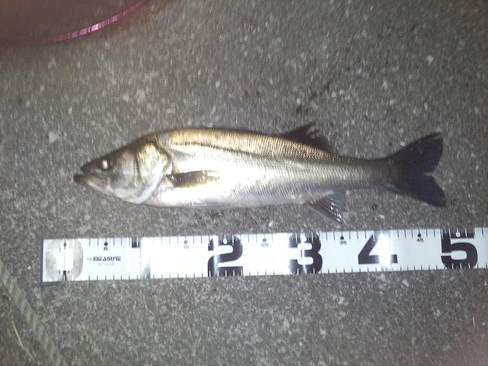 c0209312_10482299.jpg