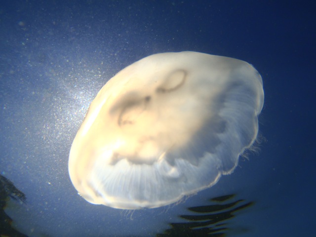 b0143214_032345.jpg