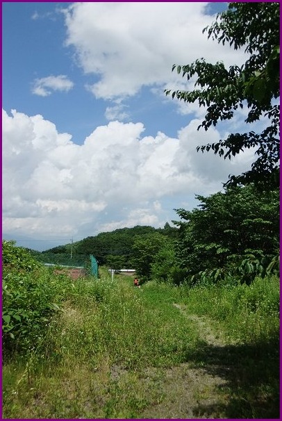 d0143214_2358981.jpg
