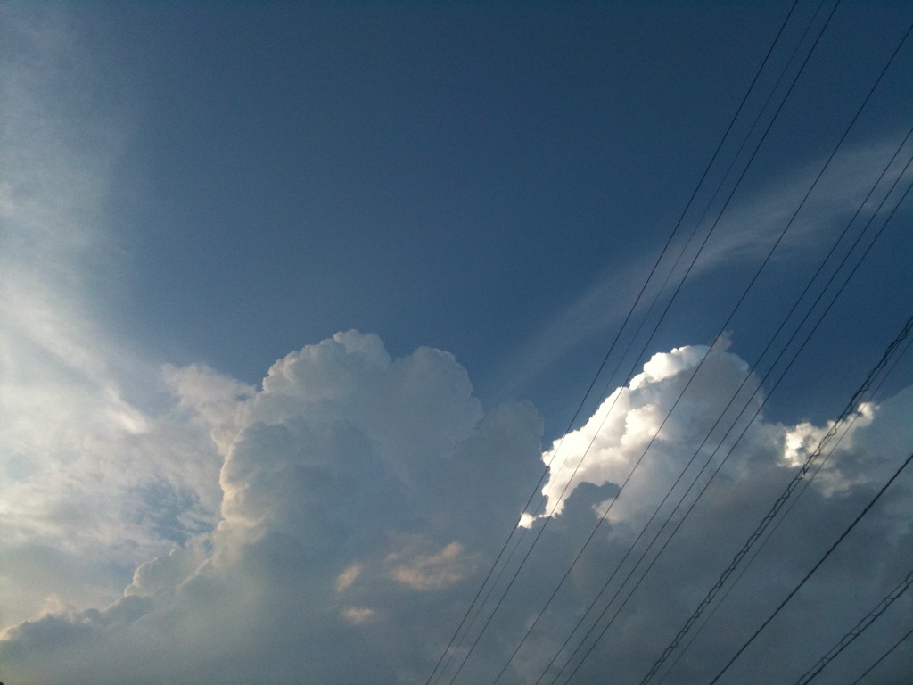 b0184015_8163947.jpg