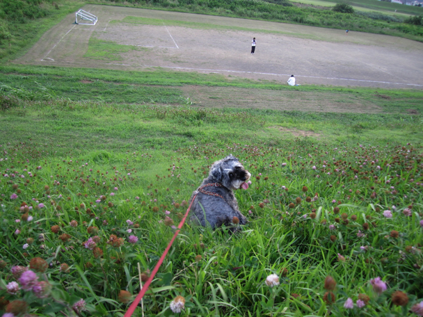 c0219815_22294324.jpg