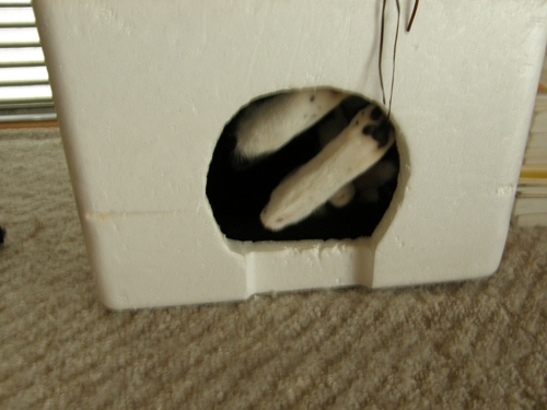 c0158916_12361999.jpg