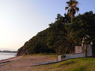 f0226817_1122871.jpg
