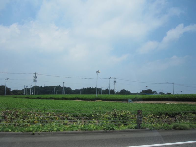 c0225420_2011376.jpg