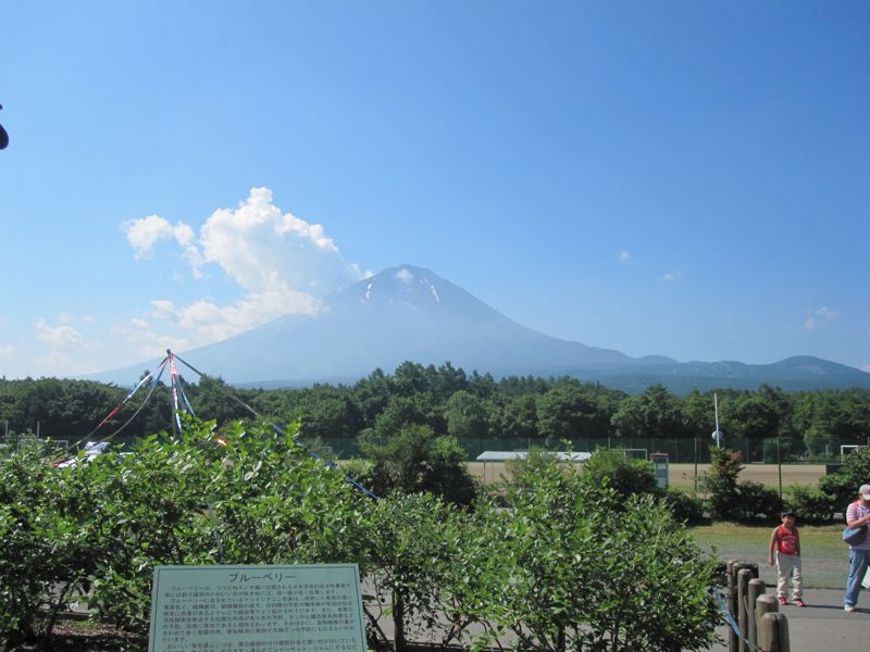 c0225420_2211144.jpg