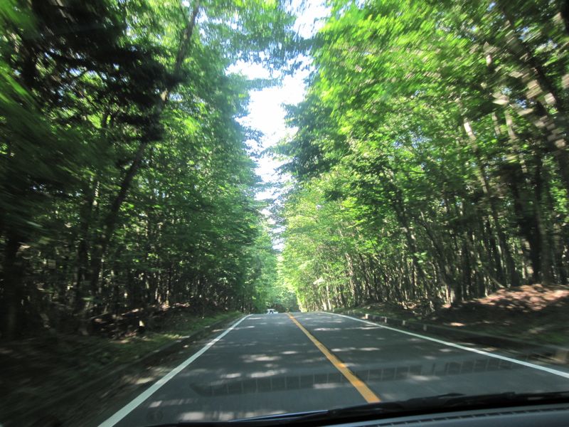 c0225420_22203421.jpg