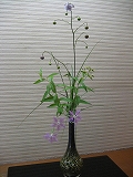 f0139520_2146333.jpg