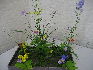 f0139520_2146477.jpg