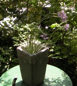 c0204121_22411959.jpg