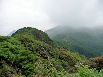 c0013324_15432294.jpg