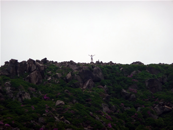 c0013324_1557832.jpg