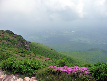 c0013324_15591790.jpg