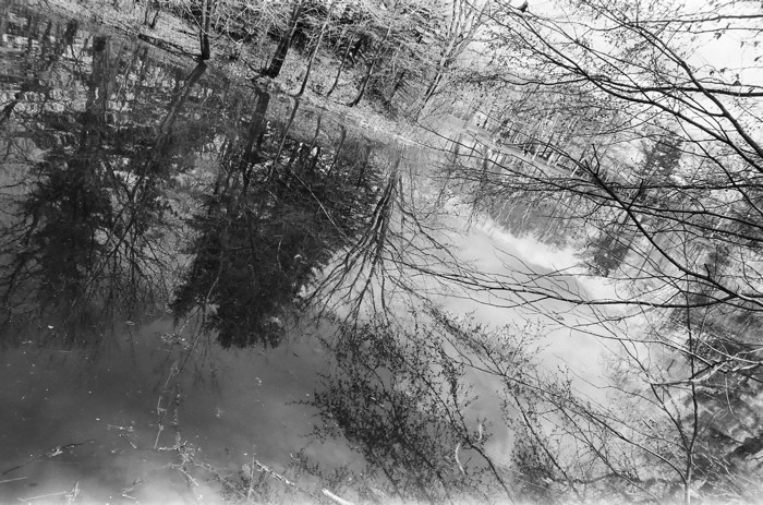 f0182924_1220124.jpg
