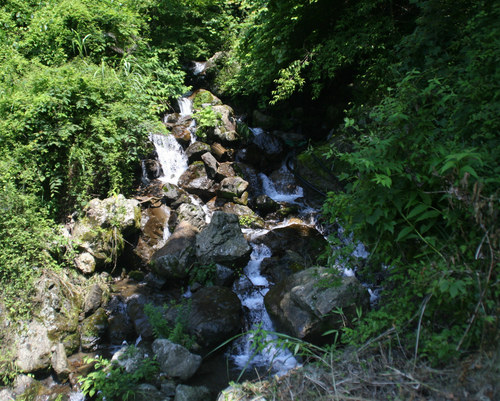 e0033229_1632433.jpg