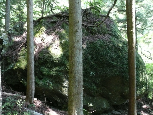e0033229_1643254.jpg