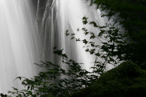 e0033229_17105154.jpg