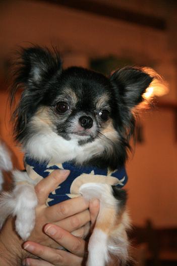 f0124830_150876.jpg