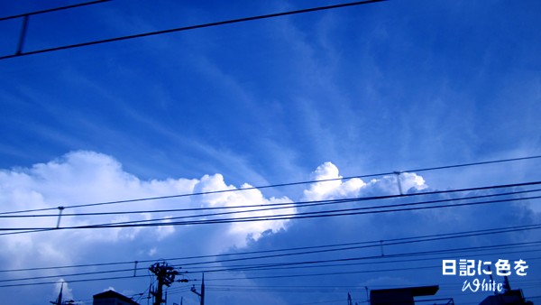 c0227134_2323294.jpg