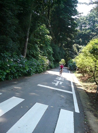 f0060535_10525655.jpg