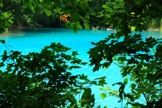 c0229539_9333797.jpg
