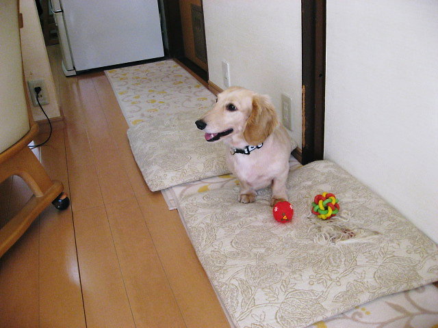 a0149240_11143749.jpg