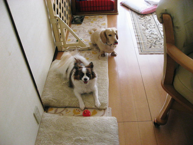 a0149240_1114560.jpg