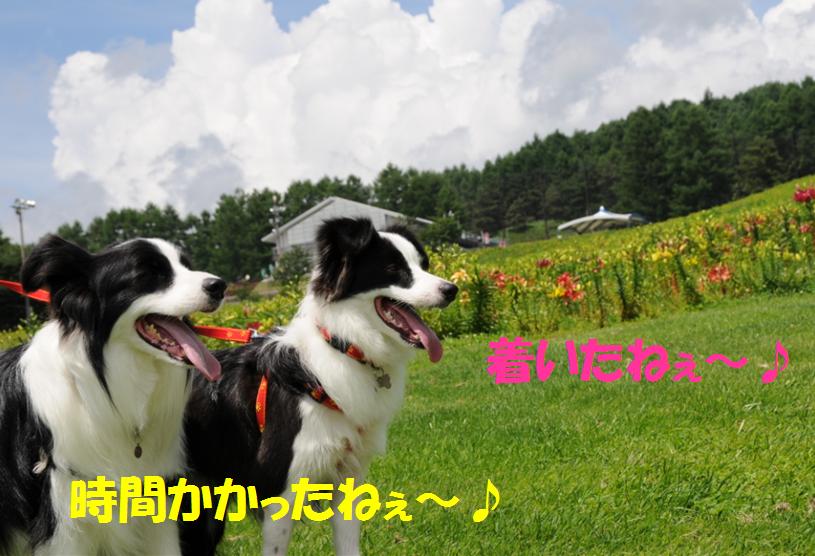 c0147241_23124377.jpg