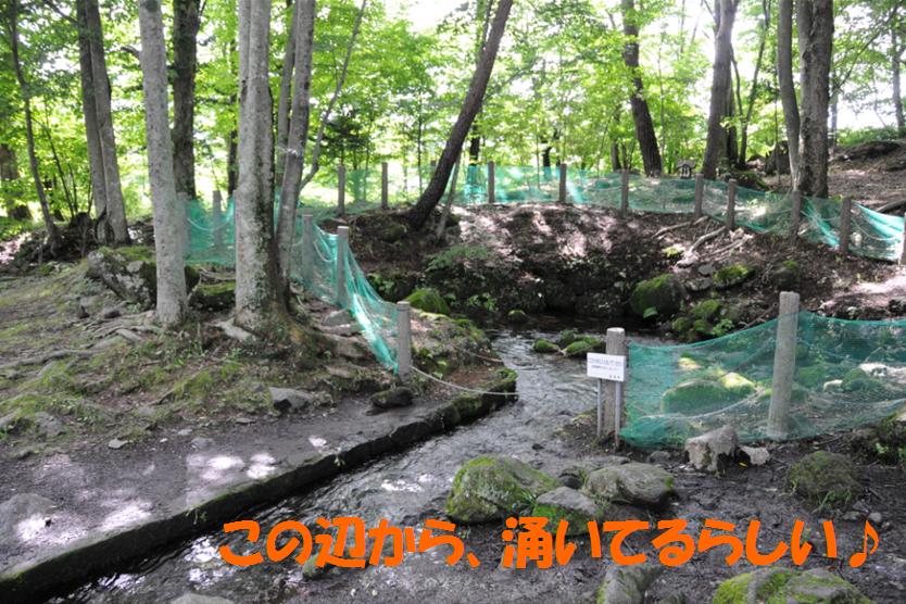 c0147241_23143081.jpg