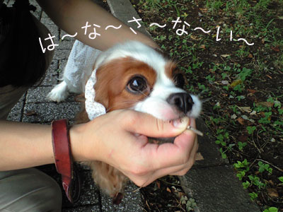 a0120944_15244299.jpg