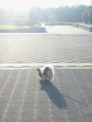 e0100046_2022377.jpg