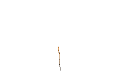 a0029347_9154323.gif