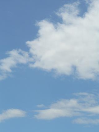 e0130347_13451241.jpg