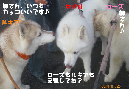 e0121548_13533246.jpg