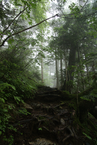 f0214649_1032841.jpg