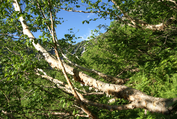 f0214649_1114502.jpg