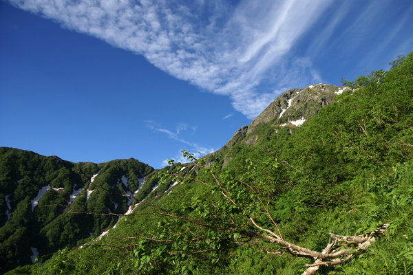 f0214649_11154219.jpg