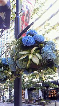 f0185250_20304465.jpg