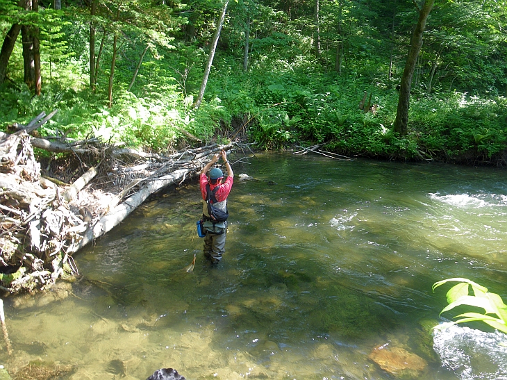 c0060452_20255570.jpg