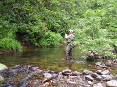c0097652_20224445.jpg