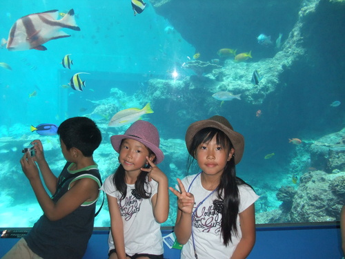 b0190954_23154920.jpg