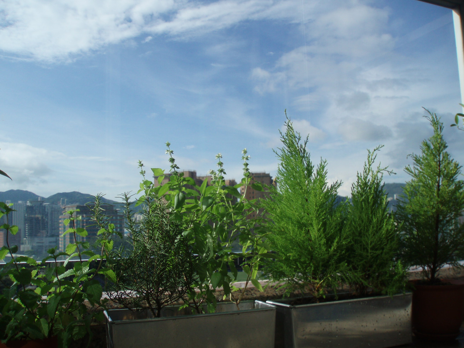 d0116055_714411.jpg