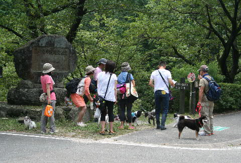b0137459_22385795.jpg
