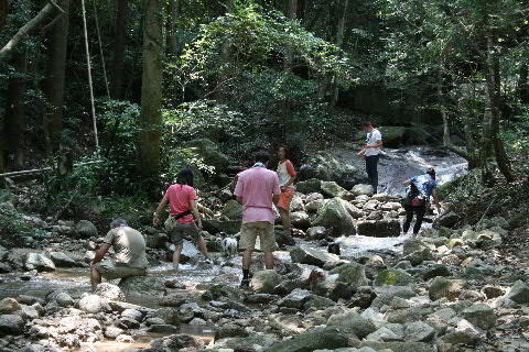 b0137459_22433782.jpg