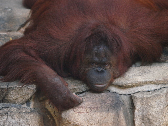 c0186760_1744396.jpg