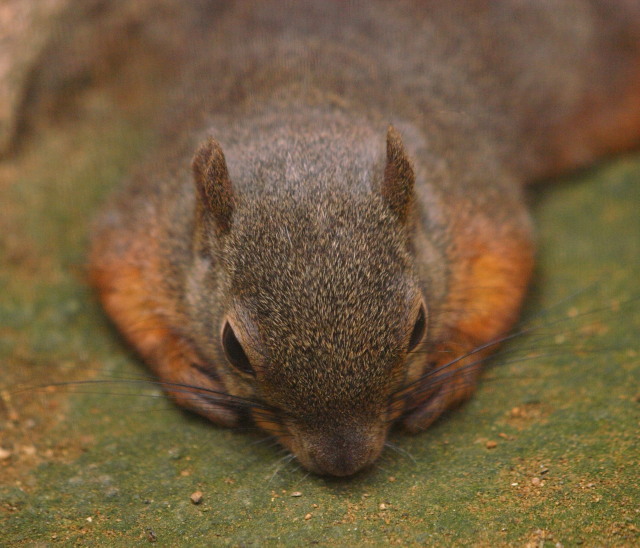 c0186760_1745459.jpg