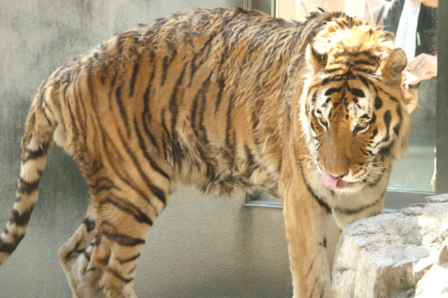 c0186760_174646.jpg