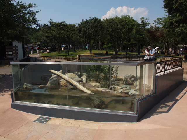 c0186760_18385379.jpg