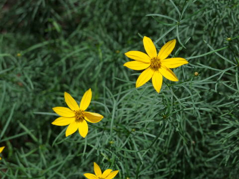 e0088260_2158781.jpg