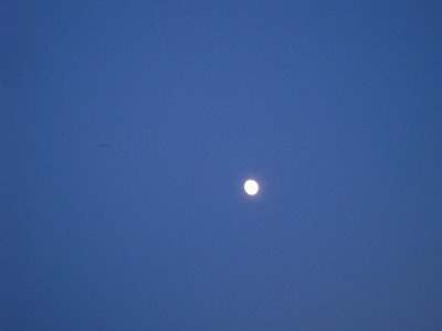 e0066062_214257.jpg