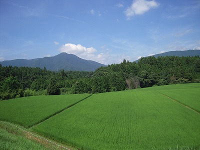 e0066062_21514543.jpg